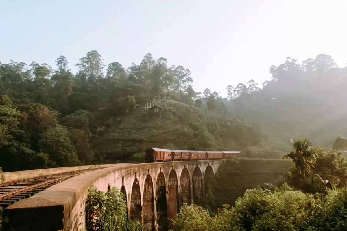 Astuces écologiques pour réduire votre empreinte carbone