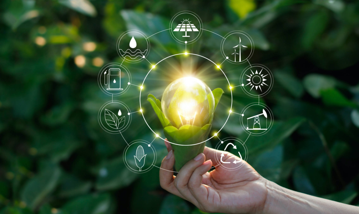 Vers un avenir durable: Comment identifier une entreprise réellement engagée dans l’écologie?