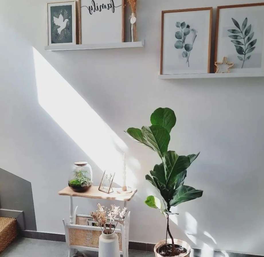 Comment choisir la décoration murale idéale pour votre salon ?