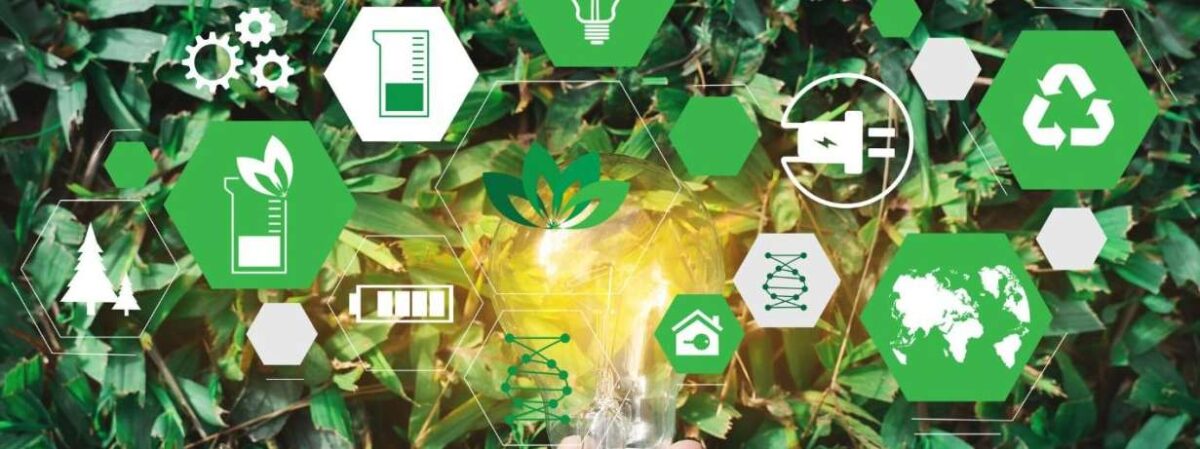 Les enjeux écologiques à l&rsquo;ère du développement durable : Quelle feuille de route pour les entreprises responsables ?