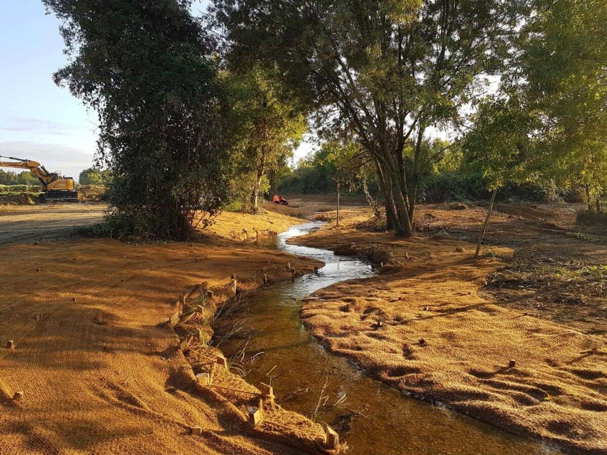 Résilience écologique: Traduire les défis en opportunités pour l&rsquo;avenir de notre planète