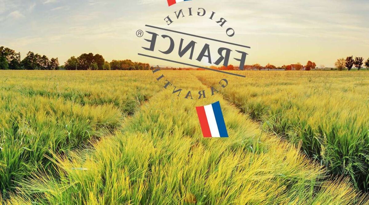 Agriculture de conservation : définition et pratiques pour un avenir durable