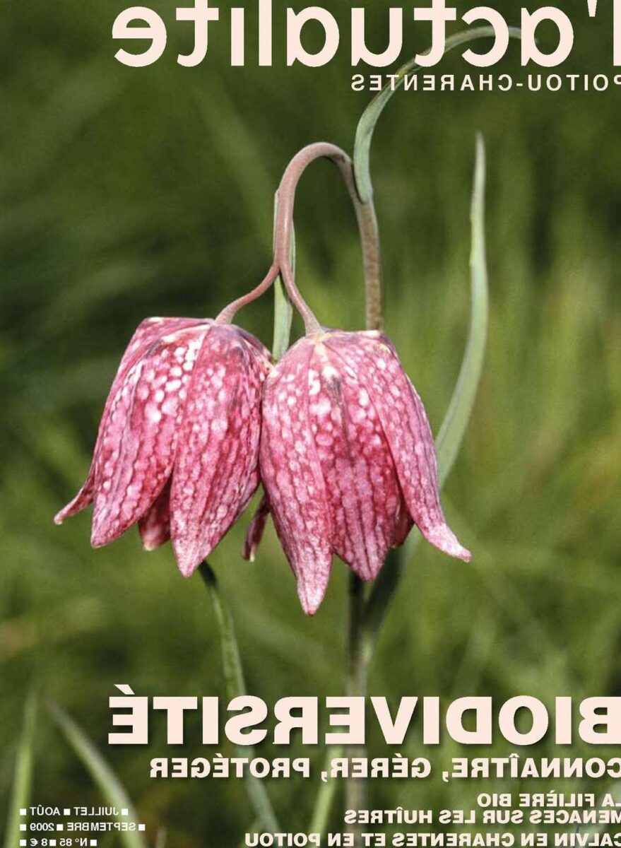 Denis Bourdon : Le bourdonnement écologique qui change notre vision de l&rsquo;environnement