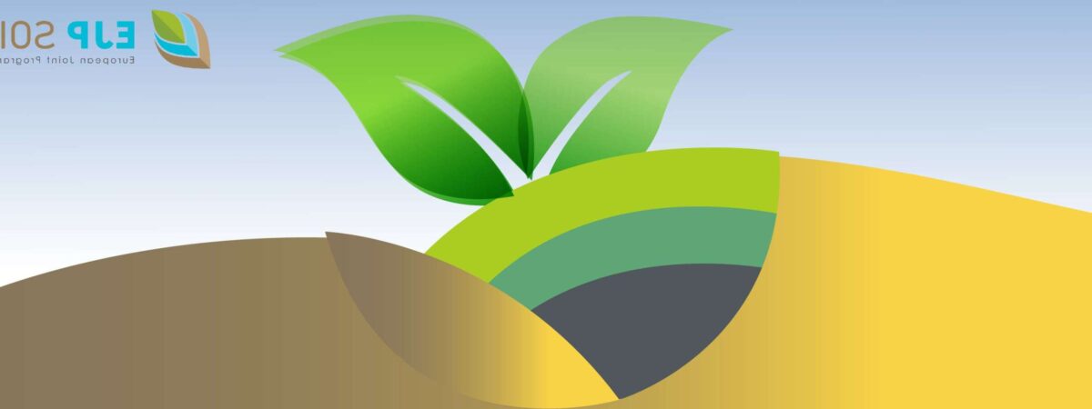 Le rôle crucial du comité d&rsquo;éthique dans la protection de notre environnement