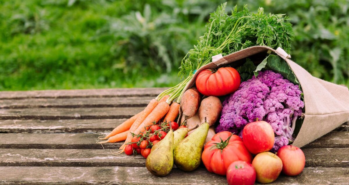 Les pires habitudes alimentaires pour notre planète : ce qu&rsquo;il faut éviter à tout prix