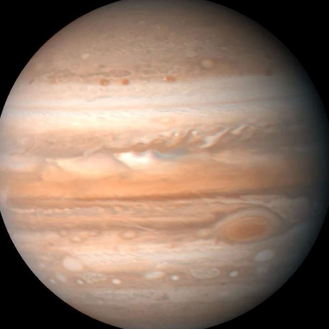 Planète en Spectacle: Comment les Shows Écologiques Sensibilisent le Public à la Cause Environnementale