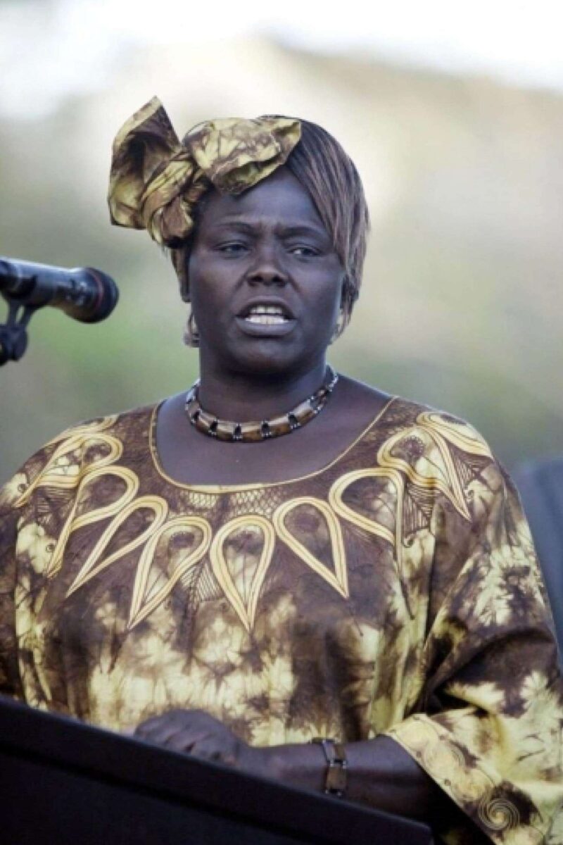 Les femmes africaines en première ligne de la lutte écologique : Espoirs et défis