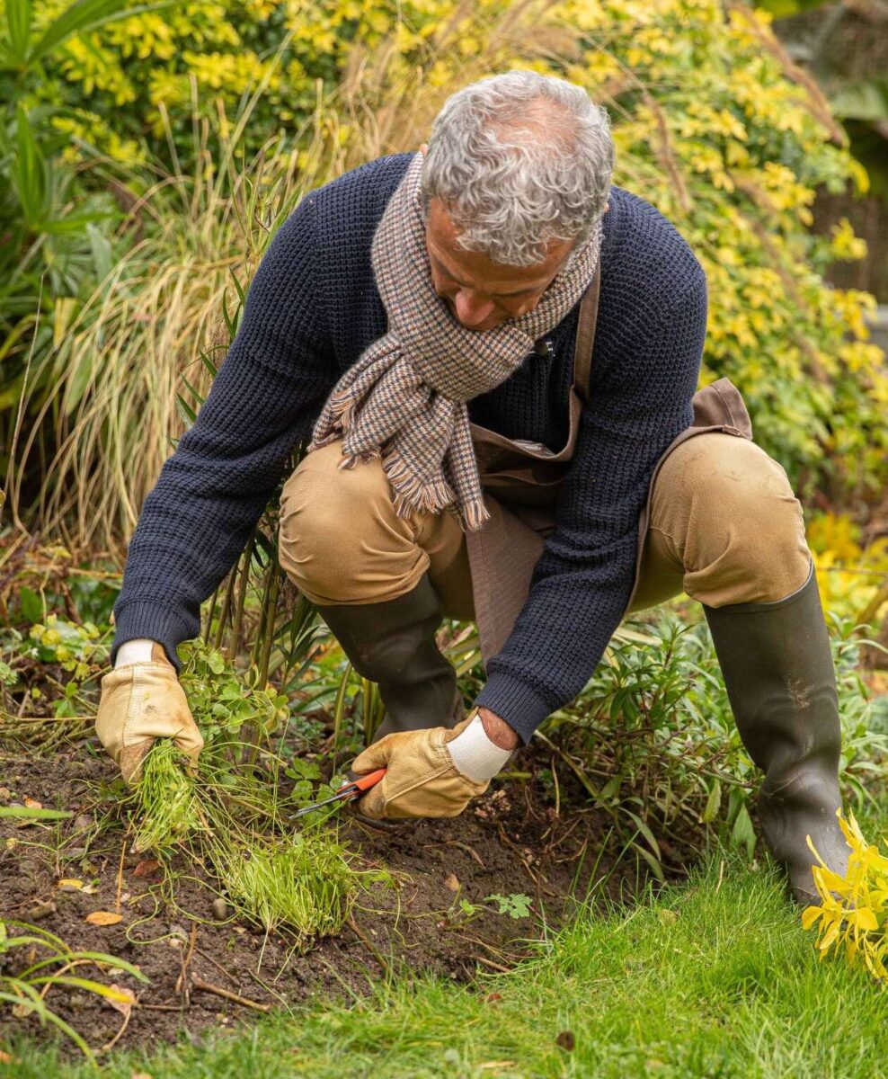 Où trouver des bons plans jardinage dans l&rsquo;Aisne sur Le Bon Coin ?