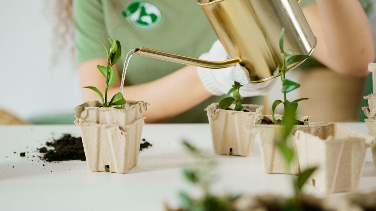 maison écologique gestes durables